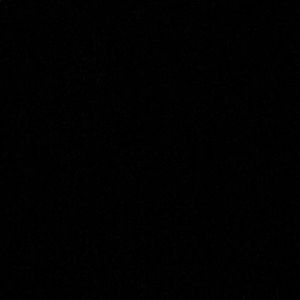 Meet your Posher, Jackson